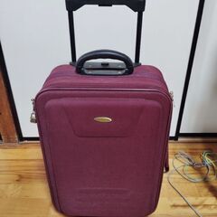 キャリーバック