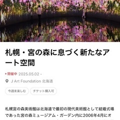 札幌・宮の森に息づく新たなアート空間