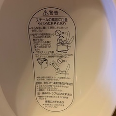 パナソニックのフェイスイオンスチーマーの画像
