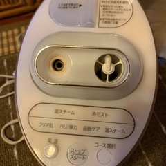 パナソニックのフェイスイオンスチーマーの画像