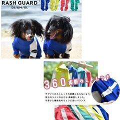 M.ダックス用/ラッシュガード（ほぼ新品）ワンちゃんグッズプレゼント付