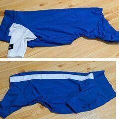 M.ダックス用/ラッシュガード（ほぼ新品）ワンちゃんグッズプレゼント付の画像