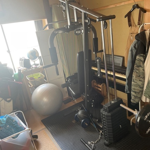 stayhome スポーツ ホームジムDX トレーニング器具