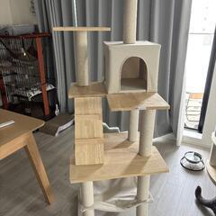【美品】キャットタワー162cm
