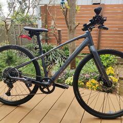 2024年 トレック(TREK) FX 3 Gen4 sizeSの画像