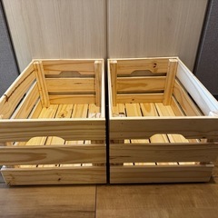 IKEA KNAGGLIG クナッグリグ　2個セット 