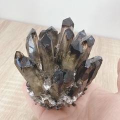 スモーキークラスター　の画像