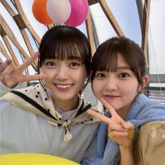 日向坂好きなおひさまはいませんか？
