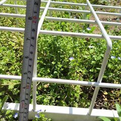 鉄枠　大きなメッシュの画像