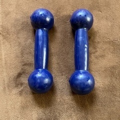 ダンベル　1キロ　2個