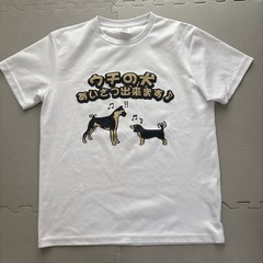 Tシャツ レディース