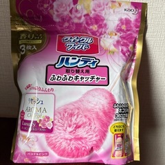 お掃除SETの画像