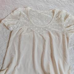 胸元ドットレース　半袖Tシャツ　