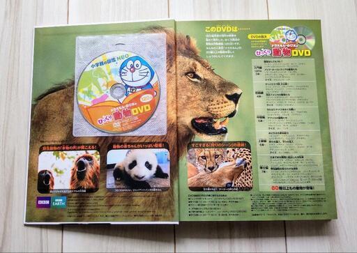 小学館の図鑑NEO新版動物DVD付き (みちくさかあさん) 東小金井の