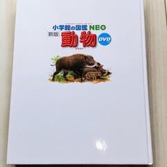 小学館の図鑑NEO新版　動物DVD付きの画像