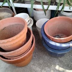 プランター、植木鉢　お好きなだけどうぞ