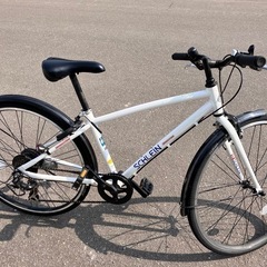 SCHLEIN BRIDGESTONEの画像