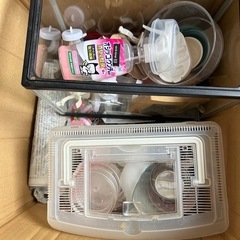 ハムスター用品100円〜処分したいので‼️の画像