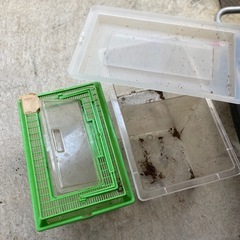 【受け渡し者決定済み】
