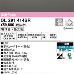 シーリングライト 10畳用　OL291414BR