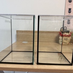 LEG LASS 15cm水槽×２個＋Light セット