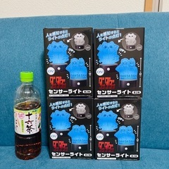 ダンダダン　センサーライト