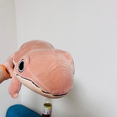 カメレオン　ぬいぐるみの画像