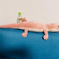 カメレオン　ぬいぐるみ