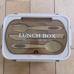 大きめのお弁当箱