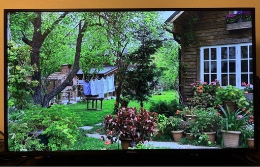 ハイセンス50v型4K対応 液晶