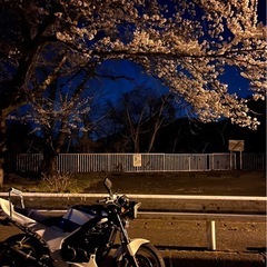 VTZ250の画像