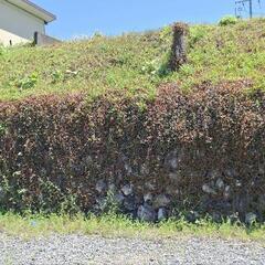 土地の外構、外壁をセメントで固めたいのてすが、教えて下さい…