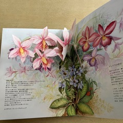 とびだししかけえほんの画像