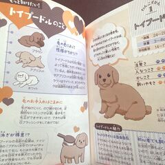 ドキドキと感動のだいすき犬物語他 計２冊の画像