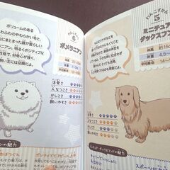ドキドキと感動のだいすき犬物語他 計２冊の画像