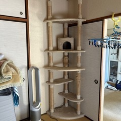 キャットタワー