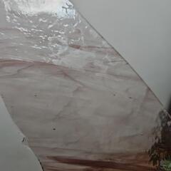 ステンドグラス材料　紫　透明　パープル　#5の画像