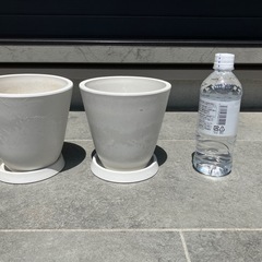 鉢　セット