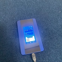 プリペイドor Sim型ポケットWiFi