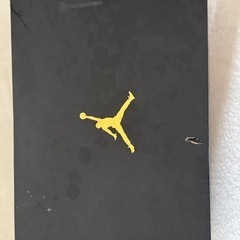 エアジョーダン　AJ12の画像