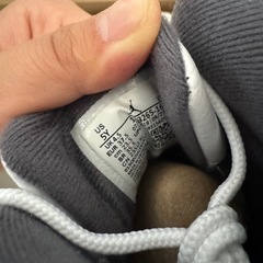 エアジョーダン　AJ12の画像