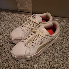 【PUMA】スニーカー　24