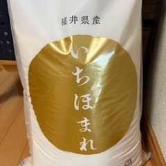 福井米  いちほまれ 10キロ 