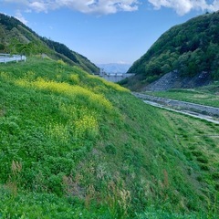 🌳山歩き、軽登山して、自然の中で寛ぐ会🌳