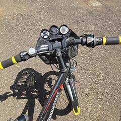 自転車 20cm BRIDGESTON E子供用の画像