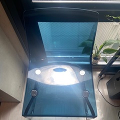 IKEA イケア TOBIAS／トービアス 1脚 クリアチェア