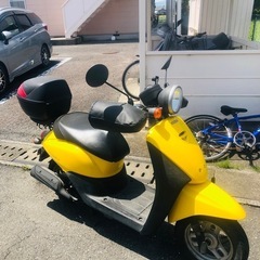 ホンダ　トゥディ　AF67の画像