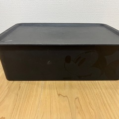 ダイソー　収納ボックス