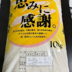 お米　10kg
