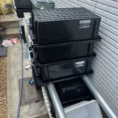 めだか引退品NVBOX13、スクエアBOX
